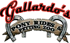 Pony Ride and Petting Zoo Services